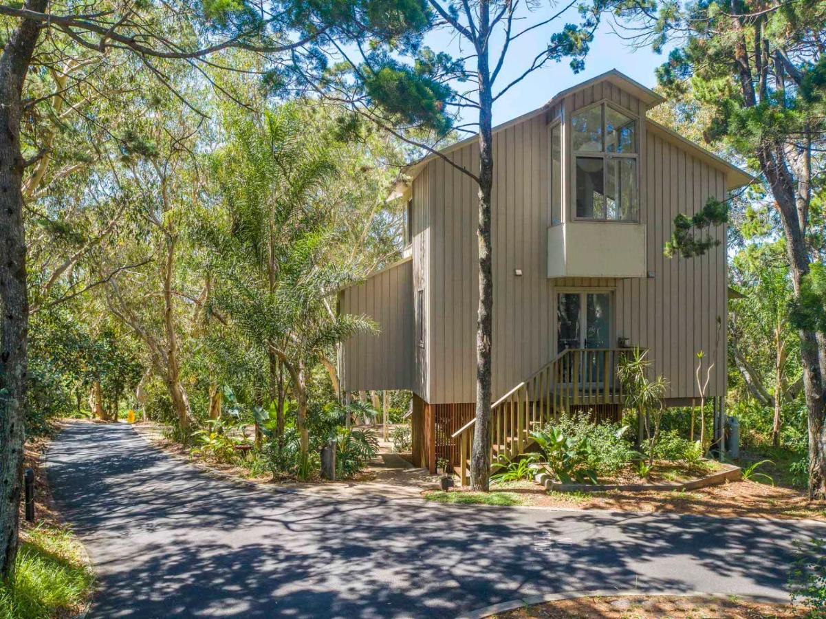 The Oasis Apartments And Treetop Houses Byron Bay Esterno foto