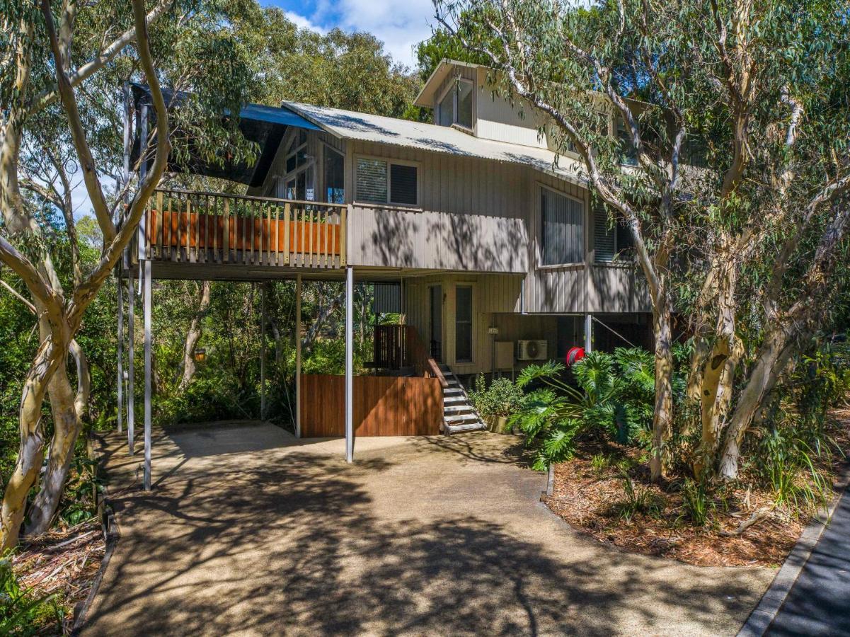 The Oasis Apartments And Treetop Houses Byron Bay Esterno foto