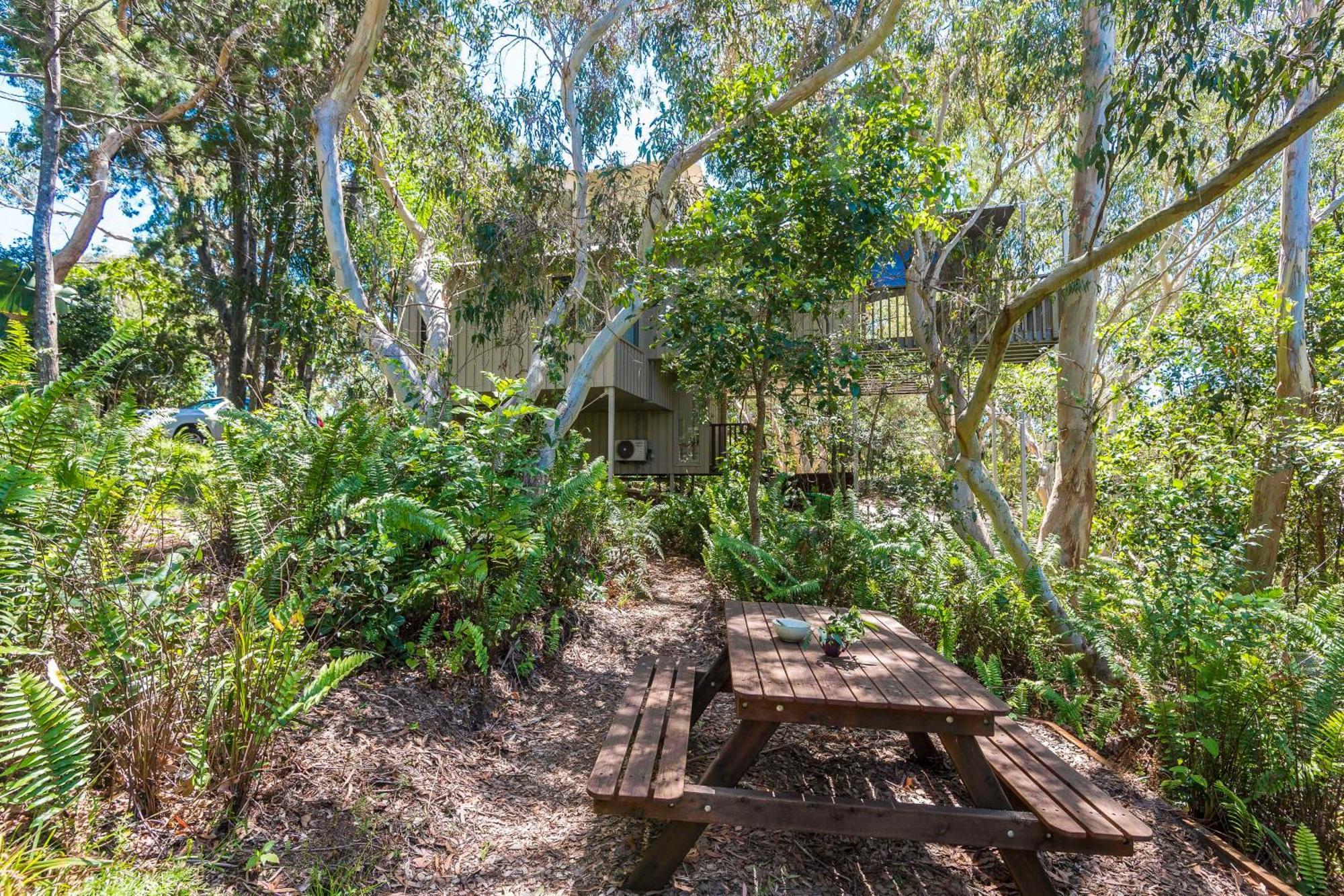 The Oasis Apartments And Treetop Houses Byron Bay Camera foto