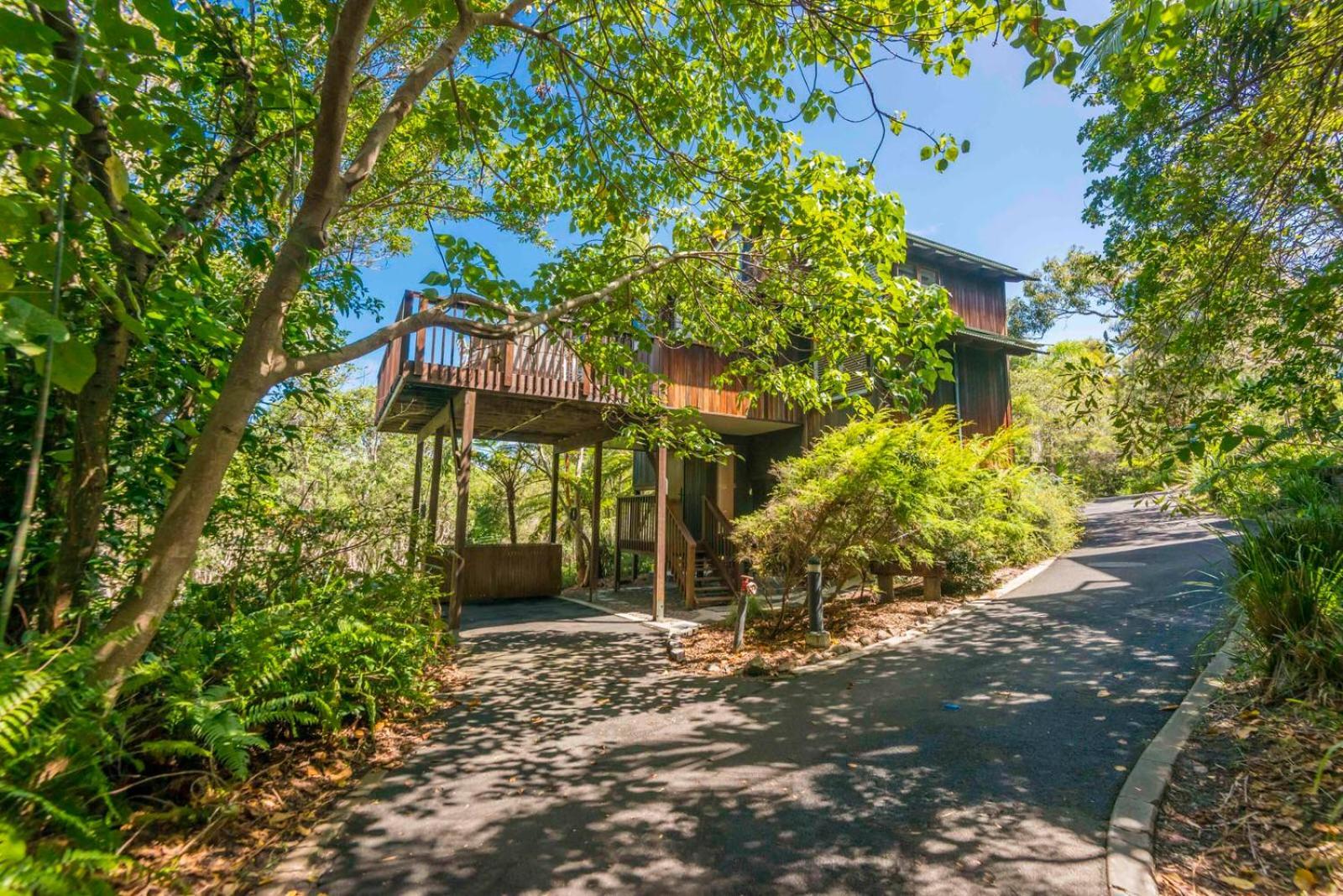 The Oasis Apartments And Treetop Houses Byron Bay Esterno foto